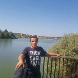 , 46 , 