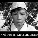  , , 58  -  22  2025   .