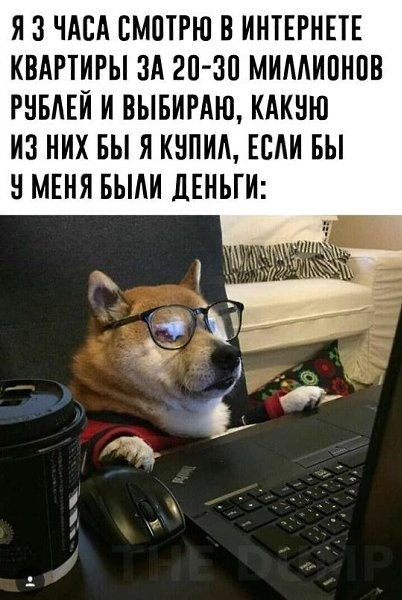 Эксперты представили.аналитику и пришли к такому выводу: можно забыть о покупке квартиры до 2027 ...