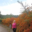 ���� Lyubmila, �������, 57 ��� - ��������� 3 ������� 2024 � ������ ���� ����������