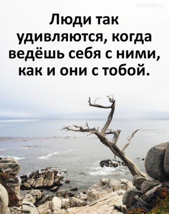ОБО ВСЕМ - 23 октября 2025 в 21:29