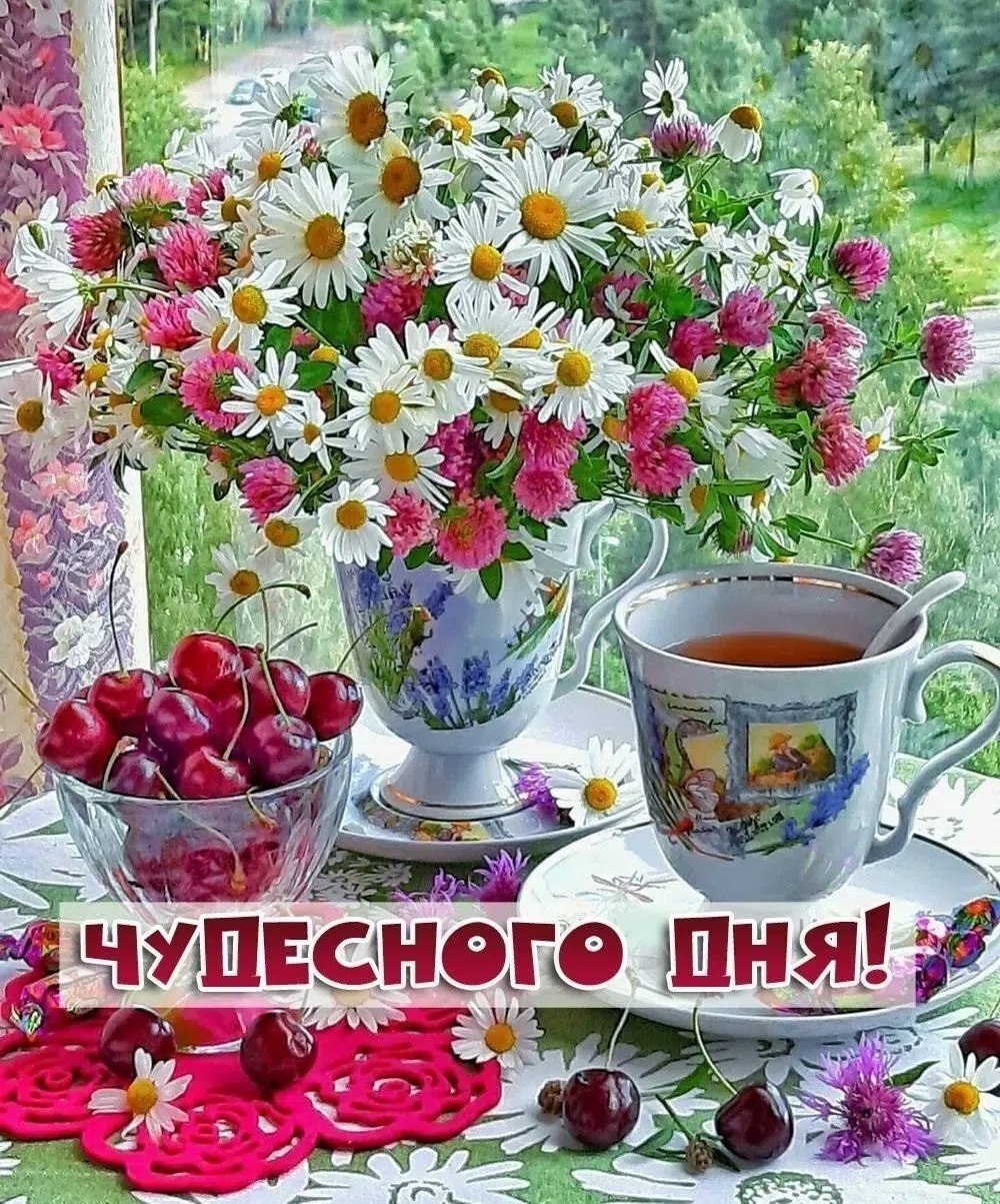 ���� - 28 ���� 2026 � 13:58