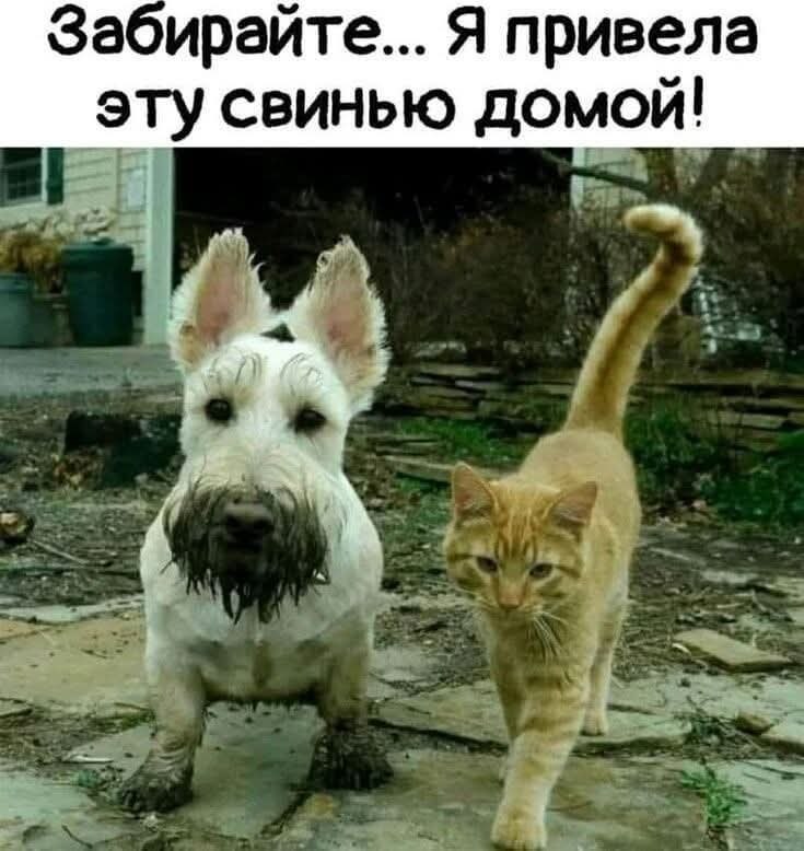 :)