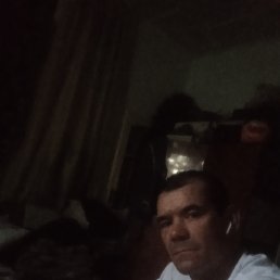 , 36, 