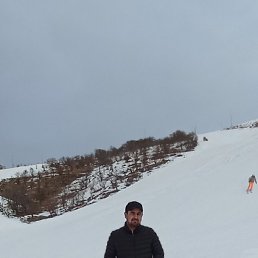 Ali, ������, 39 ���