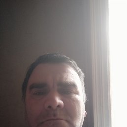 , 41, 