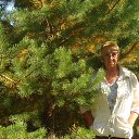 ���� �����, ������ - ��������� 12 �������� 2025