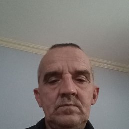 , 54, 