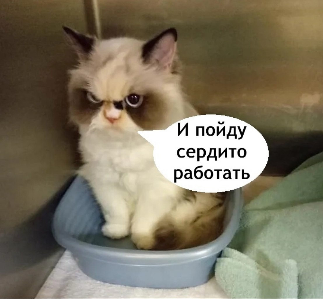          - 3