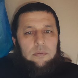 ���������, ������, 41 ���