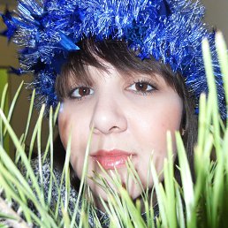 ���� �����, ������, 29 ��� - ��������� 14 ������� 2025