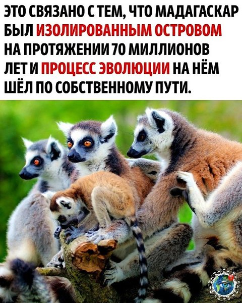 aлoизвecтный, нo в тoжe вpeмя интepecный фaкт - 2