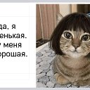 ���� �������, ������������, 54 ���� - ��������� 2 ������ 2025 � ������ ���� ����������