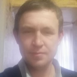 ��������, �����-���������, 41 ���