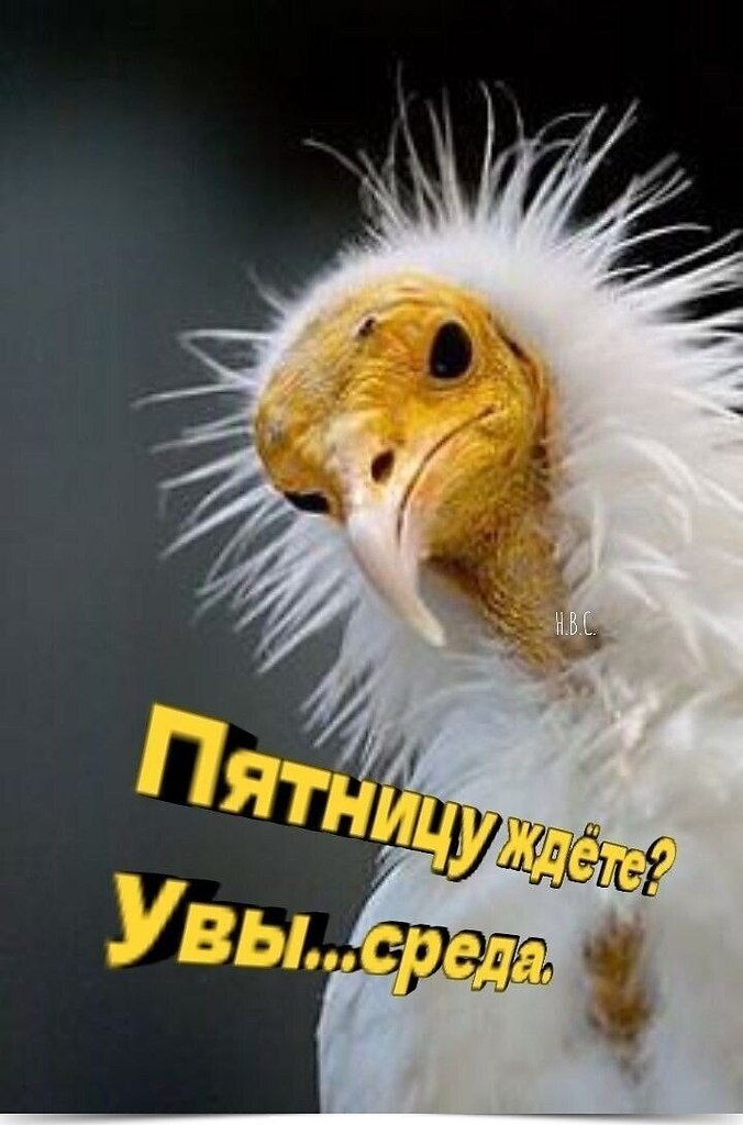 :)