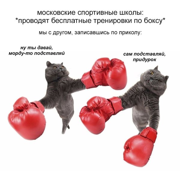����� ���� ����� ������� �������� ���������� �� ����� � ������� ������������ �� ���� ������ ...