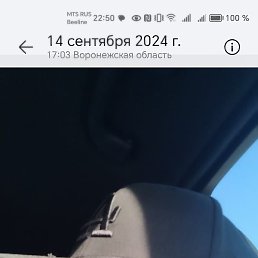 ����, �������, 59 ���