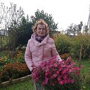 ���� �����, ������� - ��������� 8 ������� 2024 � ������ ���� ����������
