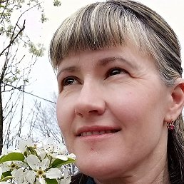 ������, ����������, 51 ���