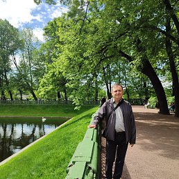 Vladimir, 61 , -