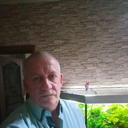, 58, 