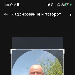 , 53, 