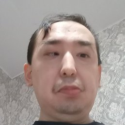 ������ ��������, ���������, 41 ���