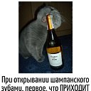 ���� ���, ������� ����, 58 ��� - ��������� 1 ������� 2025 � ������ ������ ��������