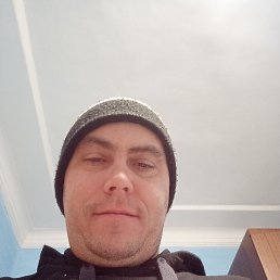 , 37, 