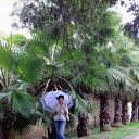 ���� �����, �����-���������, 56 ��� - ��������� 23 ����� 2026