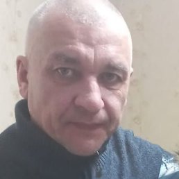 ����������, ���������, 46 ���