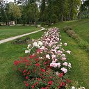  Venera, - -  29  2025