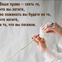  , , 53  -  11  2025