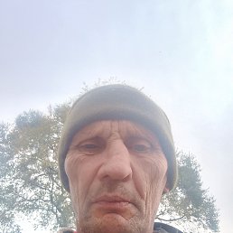 , 53 , 