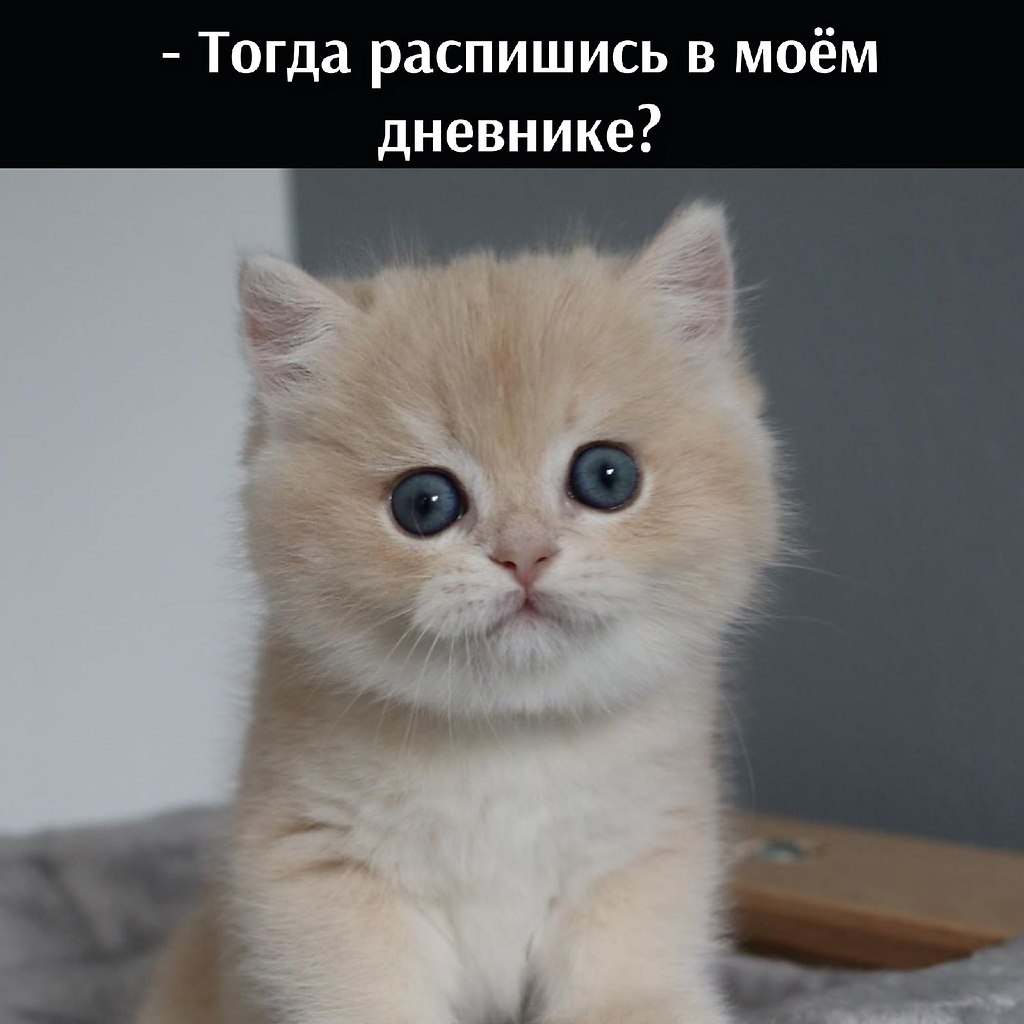       - 10  2025  16:19 - 3