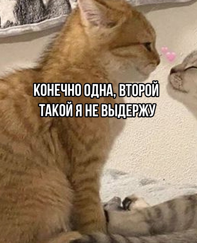 Вот они настоящие чувства - 3