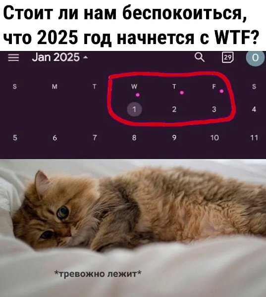  - 6  2024  13:53