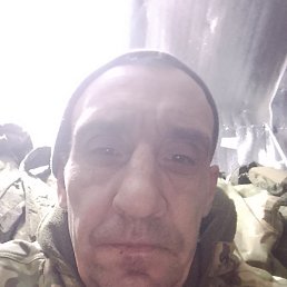 ������, ��������, 40 ���