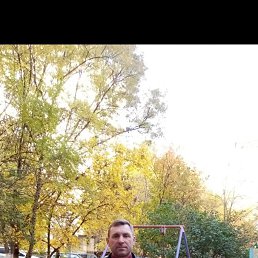 , 41, 