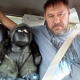 , 44, 