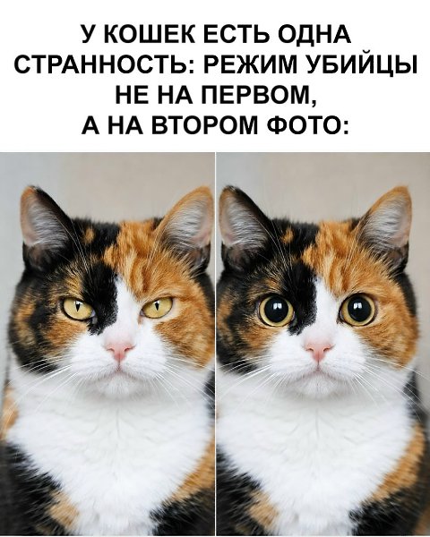 ������ ��� ���������, � ������ ������ �����������!�