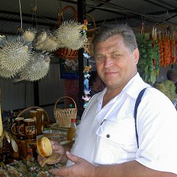 , 59 , 