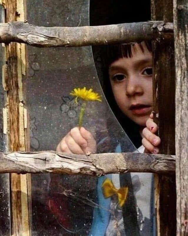     .  -   .