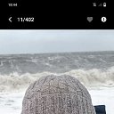 ���� �������, �������, 42 ���� - ��������� 22 ���� 2024 � ������ ���� ����������