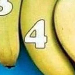 , , 28 