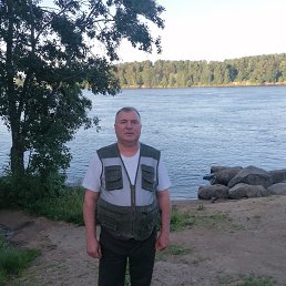 , 61 , -