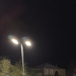 �������, ���������, 43 ����