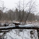 ���� ���������, ������������ - ��������� 28 ������ 2025 � ������ ���� ����������