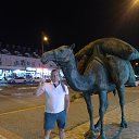 ���� ������, ������, 49 ��� - ��������� 22 ���� 2024 � ������ ���� ����������