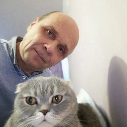 ���� �����, ������, 50 ��� - ��������� 24 ������ 2024